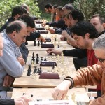 Costellada a la vinya (09-05-2010)